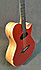 Heaven Guitars Leaf