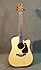 Takamine GD93CE