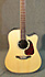 Takamine GD93CE