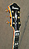 Ibanez PM200 Pat Metheny