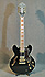 Epiphone Sheraton II