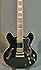 Epiphone Sheraton II