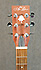 Art et Lutherie Wild Cherry CW