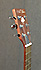 Art et Lutherie Wild Cherry CW