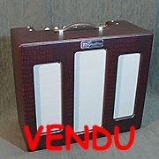 Magnatone Varsity Reverb