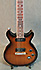 Gibson Les Paul DC Special 100th