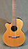 Takamine TAN 60C LH