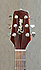 Takamine EG523SC