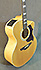 Takamine EG523SC