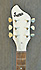 Supro Sahara