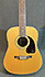 Epiphone DR212 Nat