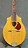 Seagull Mandoline