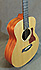 Taylor GS Mini Mahogany