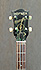 Hofner Senator 5144/5