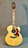 Takamine EG 523 SC