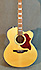 Takamine EG 523 SC