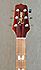 Takamine EG 523 SC