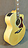 Takamine EG 523 SC