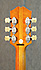 Epiphone Century Deluxe