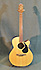 Takamine EG440SC