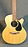 Takamine EG440SC