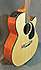 Takamine EG440SC