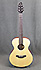 Breedlove C200S/SMe-T