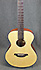 Breedlove C200S/SMe-T