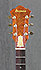 Ibanez MC-300 