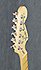 Fender Stratocaster American Special