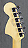 Fender Stratocaster American Special