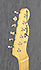 Fender Telecaster Thinline  Japan Reissue 69