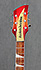 Rickenbacker Model 660