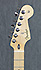 Fender Stratocaster Player