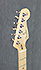 Fender Stratocaster Player