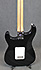 Fender Stratocaster Player