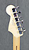 Fender Stratocaster Player