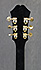 Epiphone ES200Ce