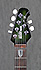 Musicman JP6 BFR
