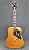 Gibson Dove