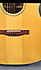 Fender GA45s