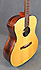 Fender GA45s