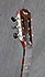 Taylor 322e 12-Fret