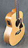 Taylor GS-mini e