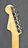 Fender Stratocaster Classic 60 Micros Tornade MS