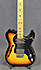 Fender Custom Shop 1972 Telecaster Thinline Relic Masterbuilt Dale Wilson