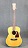 Ibanez AC100
