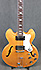 Epiphone Riviera