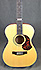 Maton EBG808 TE Tommy Emmanuel