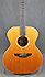 Takamine ES 25